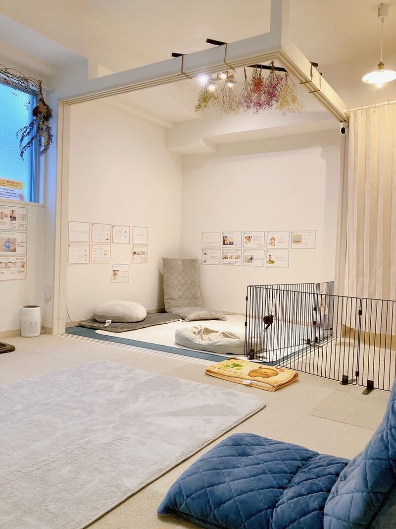 お部屋の様子